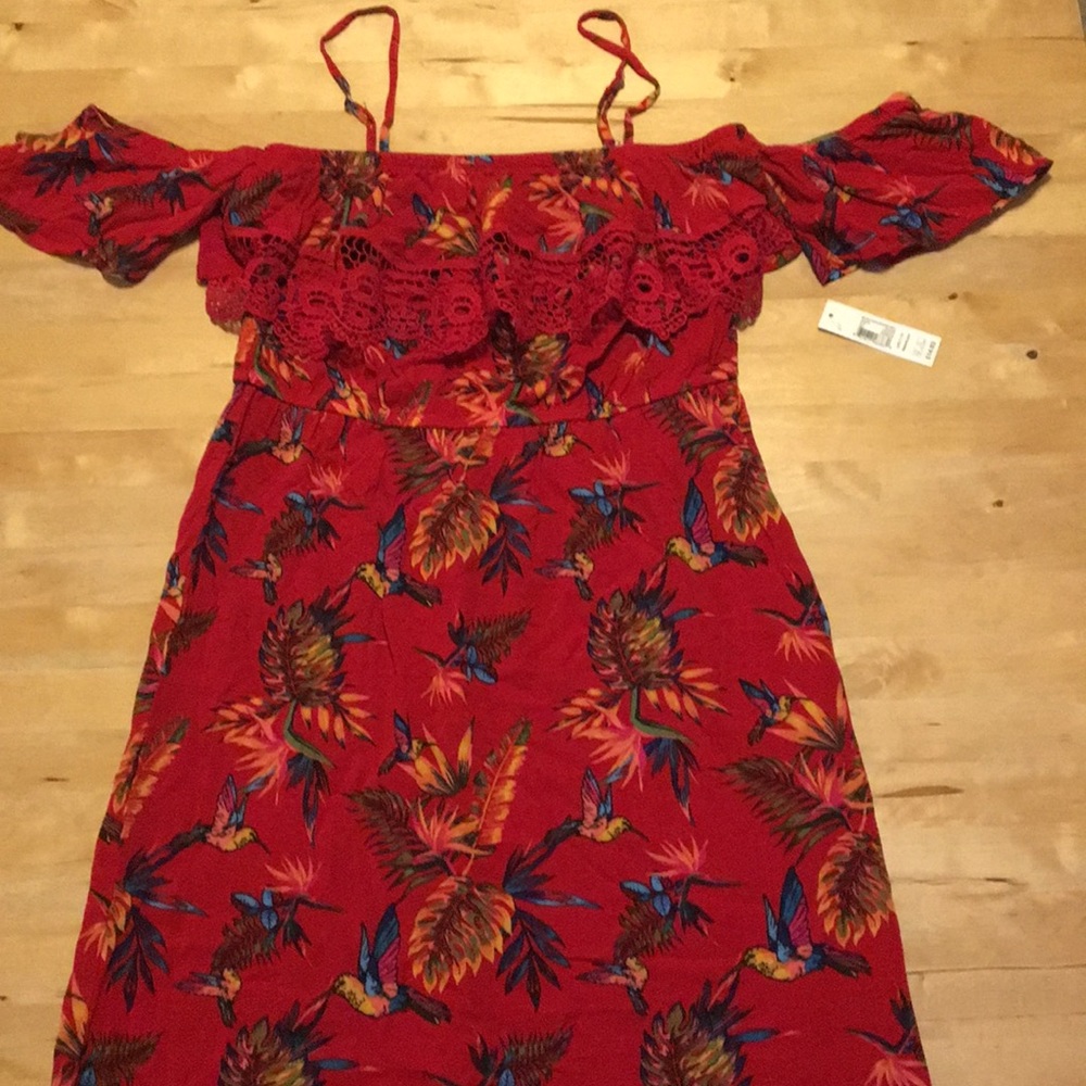 Red Hummingbird Dress